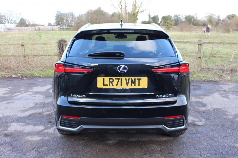 LEXUS NX